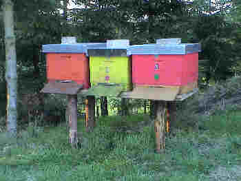 Bienenstand in Wiehl